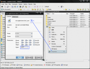 winscp