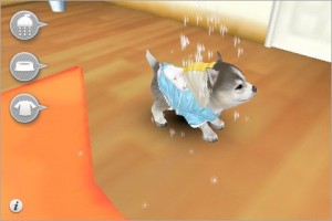 pets_3d_1