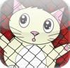 save_kitty save_kitty
