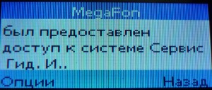 minfone slim sms 3_2
