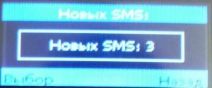 minifon slim sms